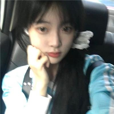 树篱女巫